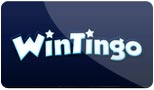 WinTingo Casino Logo